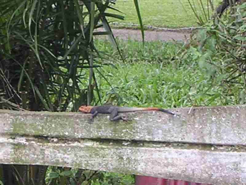 douala-10.jpg