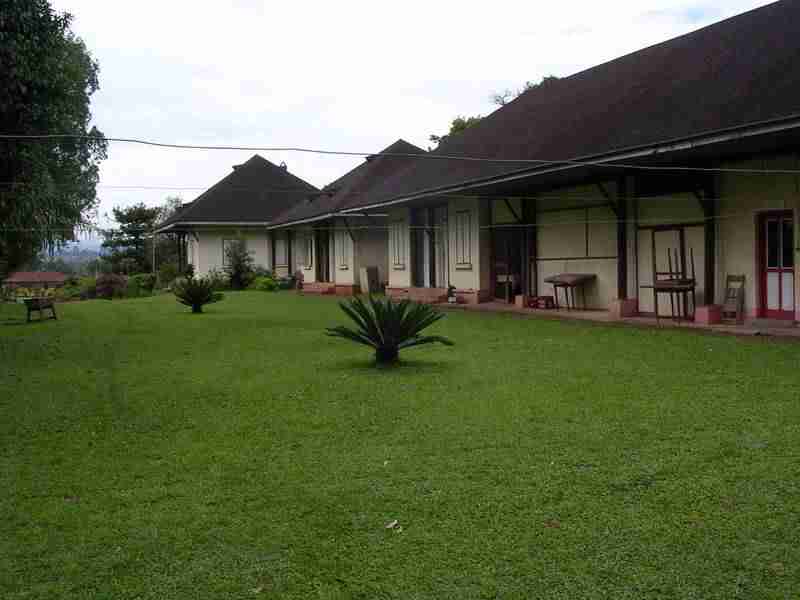 dschang-04.jpg