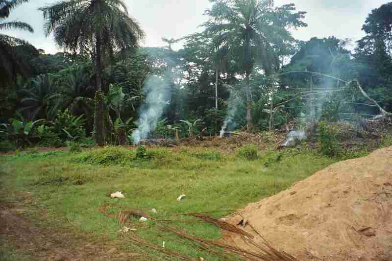 yaounde_2-02.jpg
