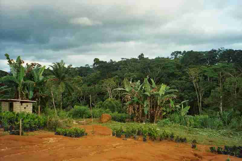 yaounde_2-15.jpg